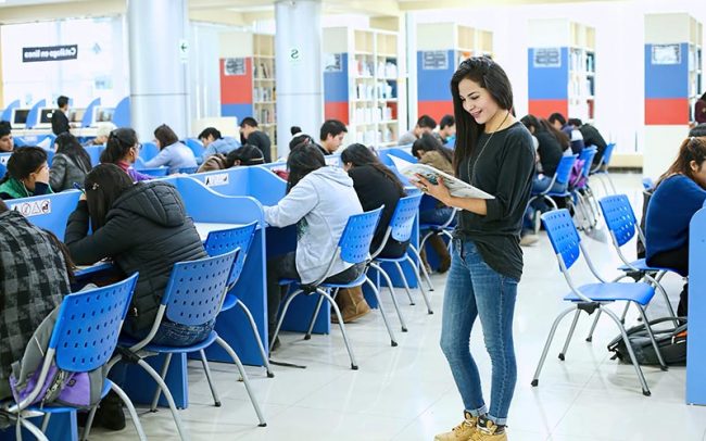 Centro de Documentación – Módulos Individuales